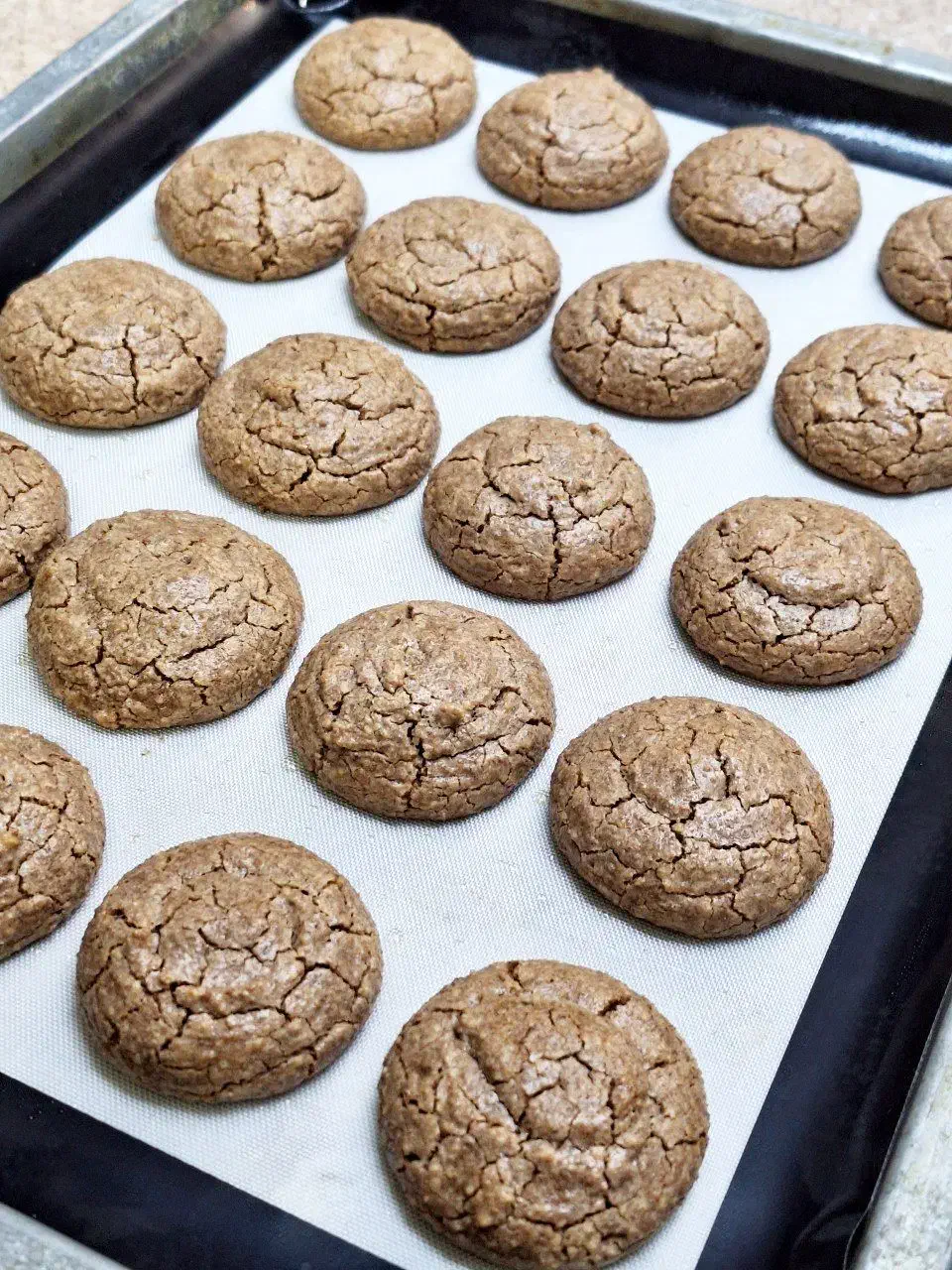 شیرینی گردویی|خوردنی و آشامیدنی|رشت, بلوار گیلان|دیوار