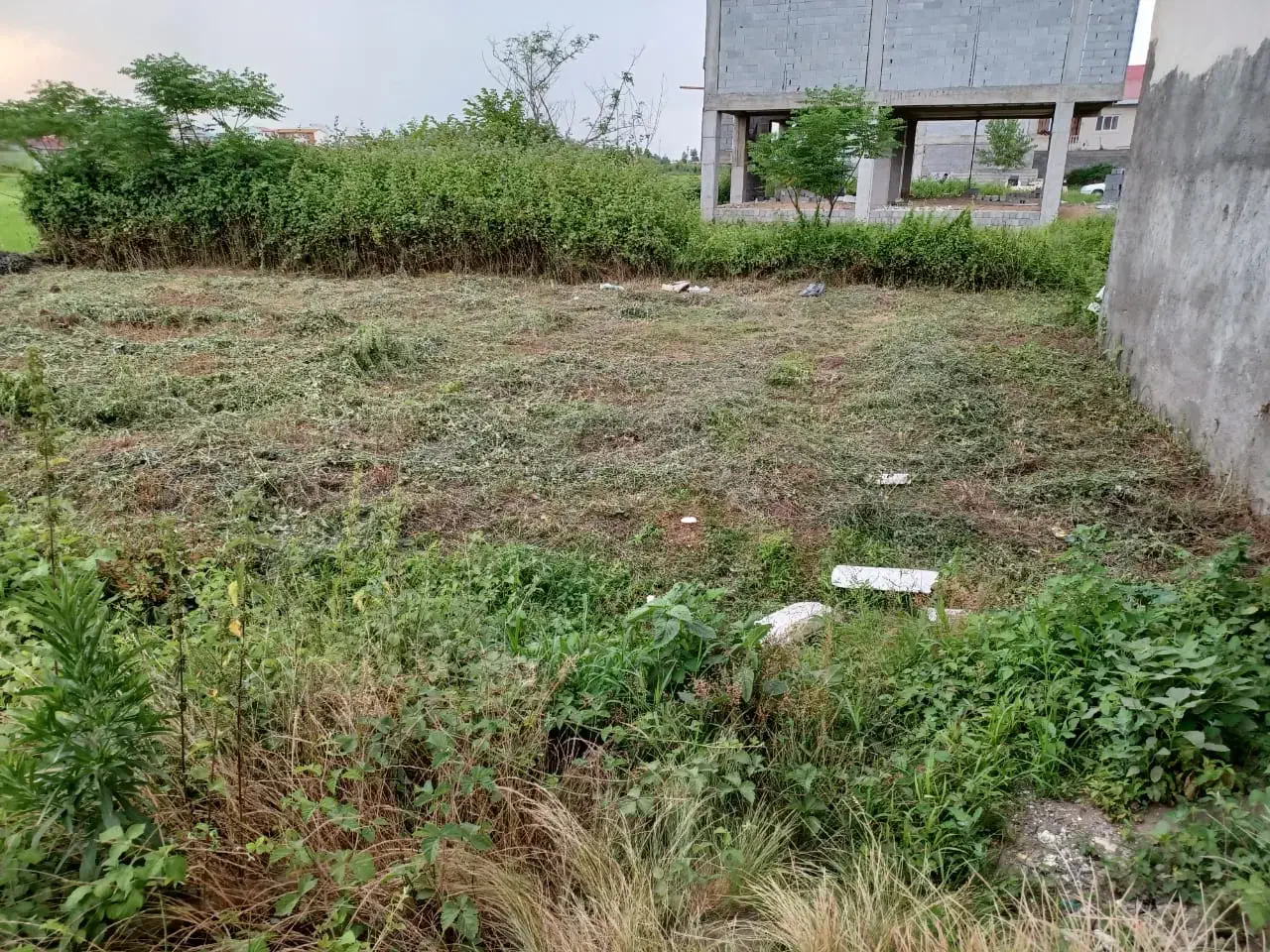 زمین مسکونی سند تک برگ در رودسر|فروش زمین و ملک کلنگی|رودسر, |دیوار