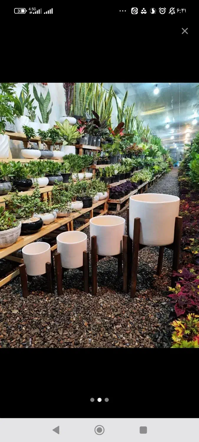 گلدان سفالی با پایه ی چوپی|گل و گیاه طبیعی|نیشابور, پاستور|دیوار