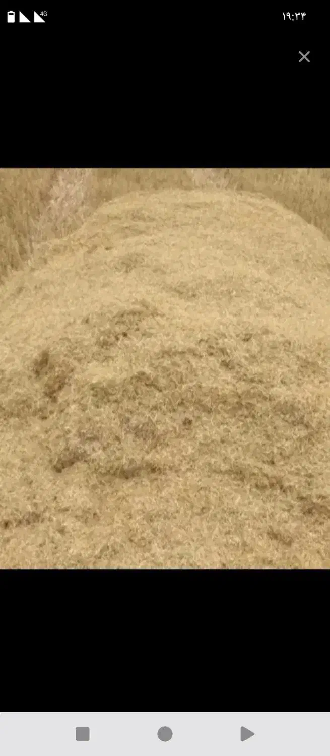 کاه نرم درجه یک|لوازم جانبی حیوانات|آمل, |دیوار