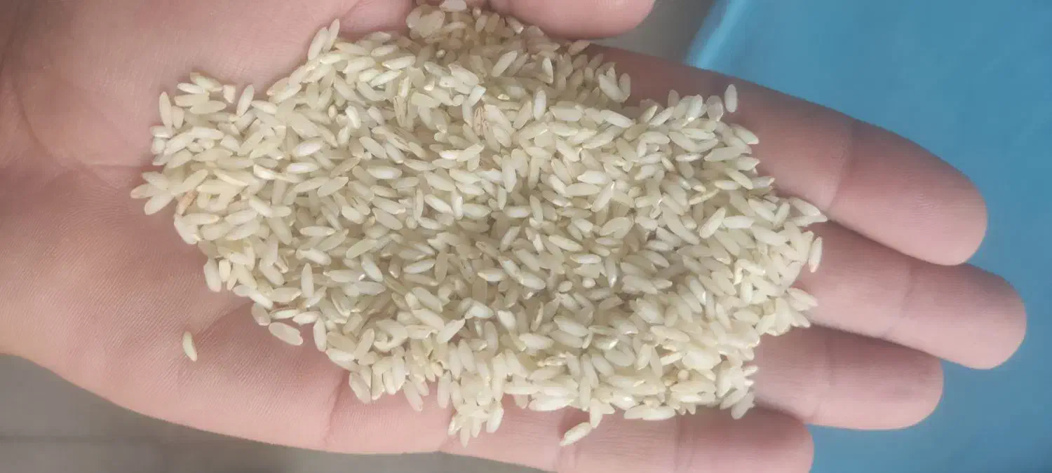 برنج عنبر بو درجه یک|خوردنی و آشامیدنی|بهبهان, |دیوار