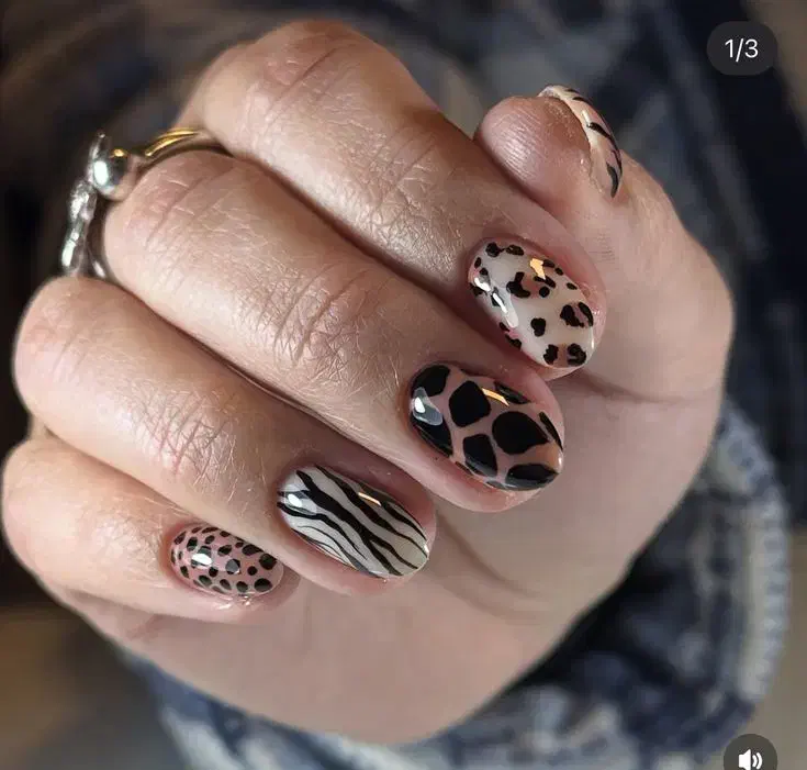 آموزش تخصصی صفرتاصد کاشت ناخن درجشنواره پاییز|خدمات آموزشی|زنجان, |دیوار