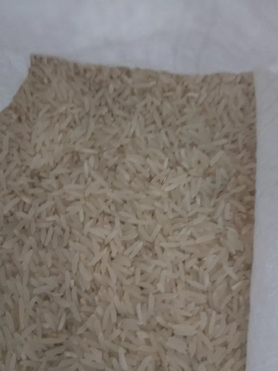 برنج فجرسوزنی|خوردنی و آشامیدنی|خان ببین, |دیوار