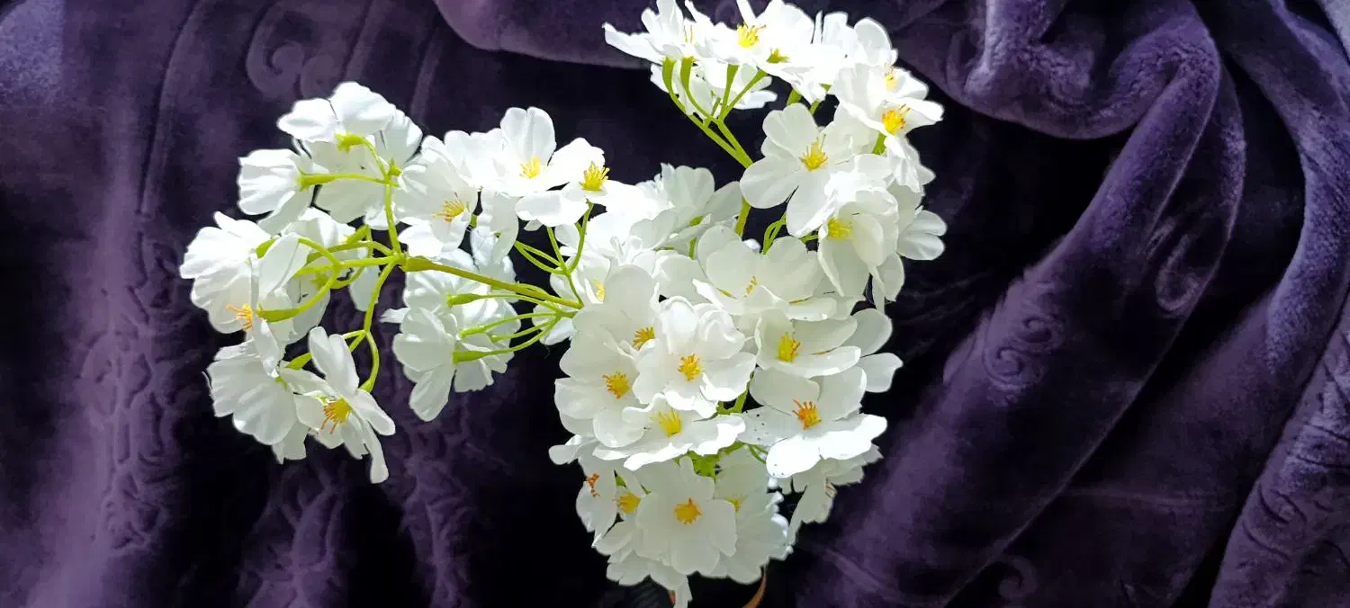 گل و گلدان نوی نو|گل مصنوعی|قزوین, |دیوار