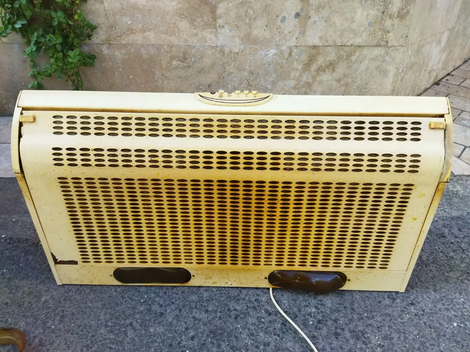 هود کتابی سالم تمیر|هود|بابل, |دیوار