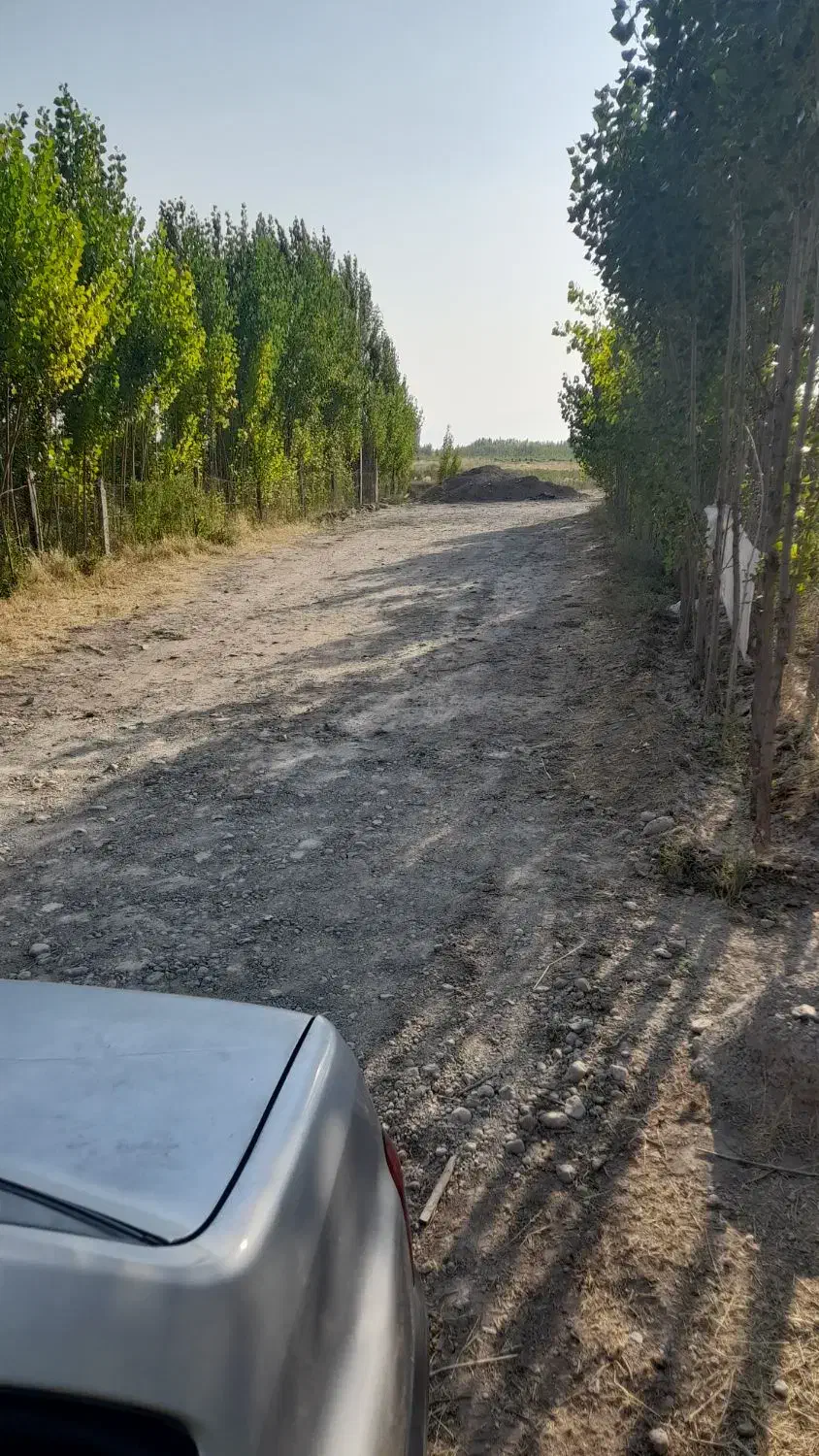 باغ واقع در اخر گلمغان|فروش زمین و ملک کلنگی|اردبیل, |دیوار