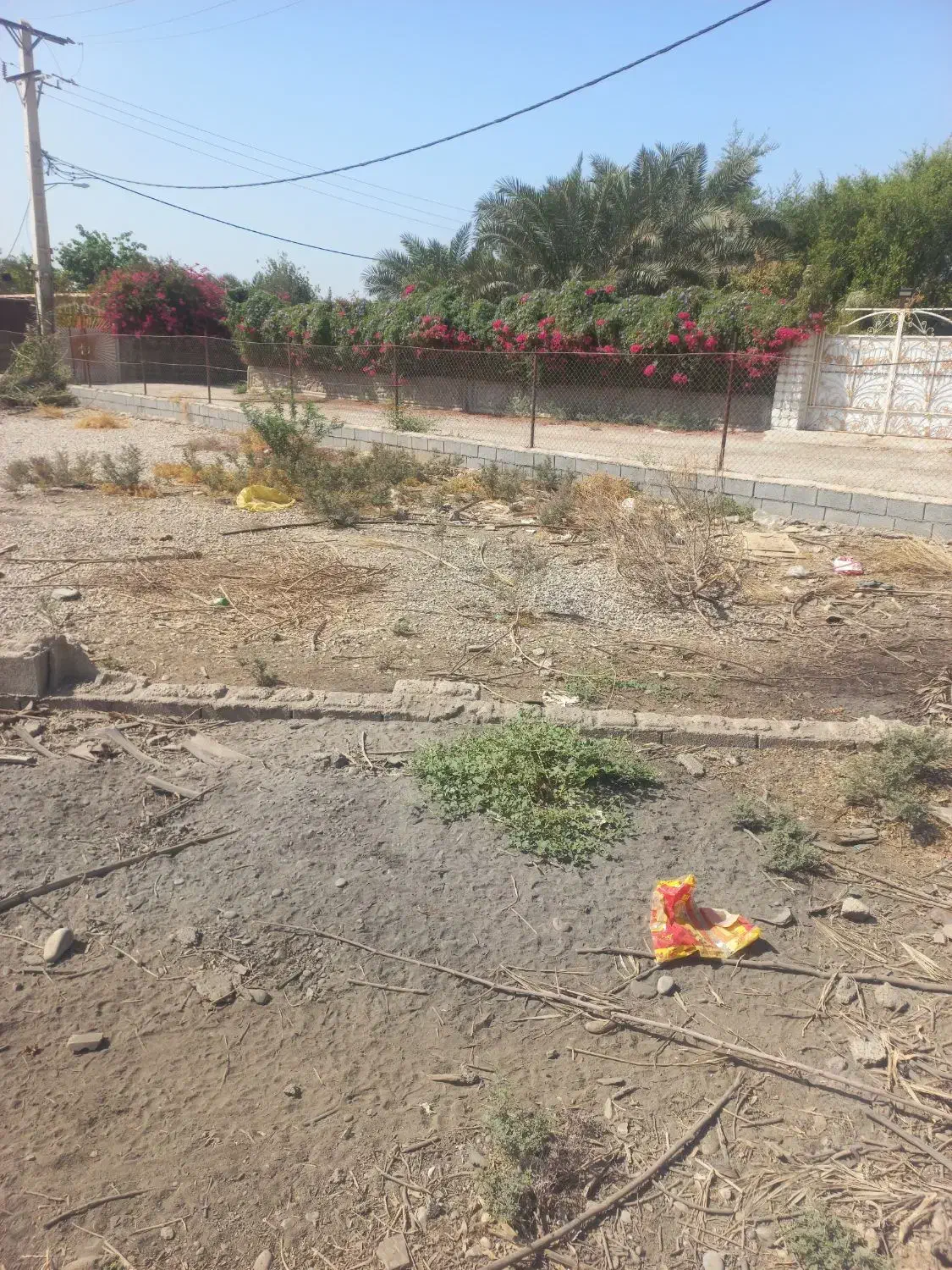 فروش زمین باغ ویلا|فروش دفتر صنعتی، کشاورزی، تجاری|شوشتر, |دیوار