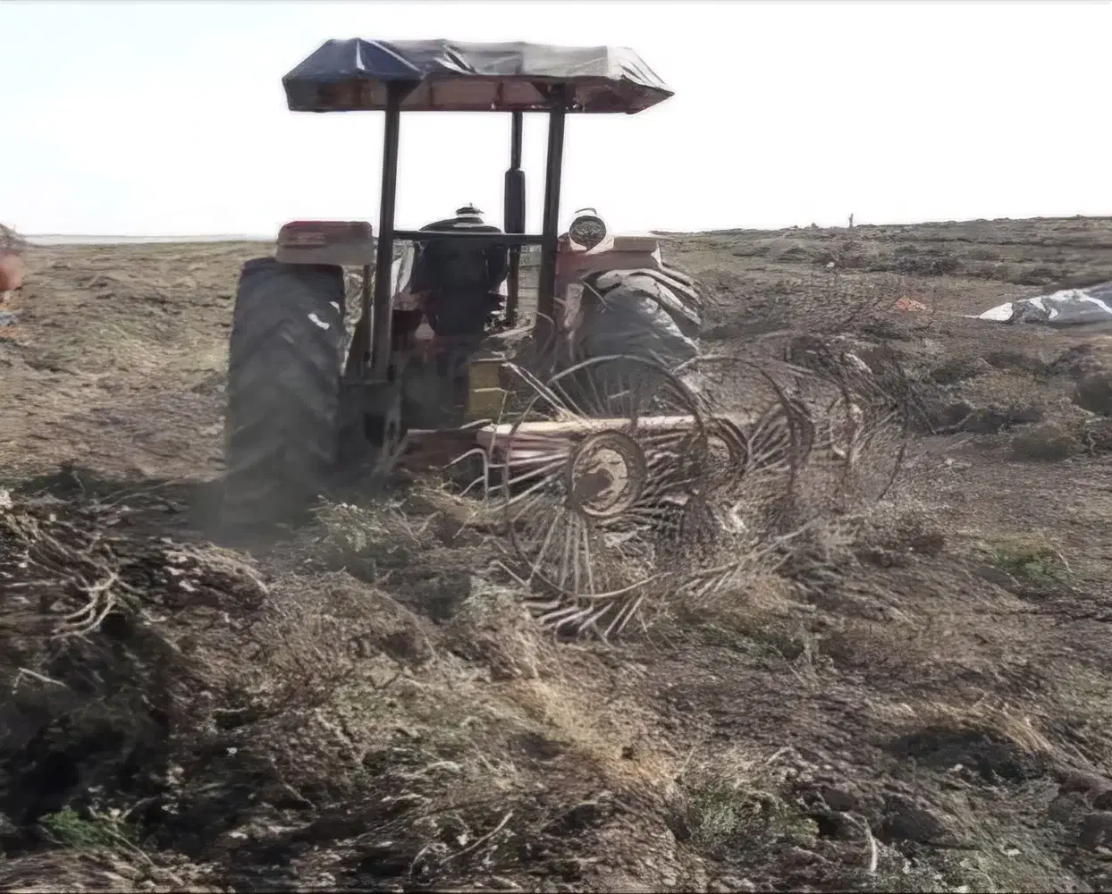 علوفه بادام زمینی|عمده‌فروشی|پارس‌آباد, |دیوار