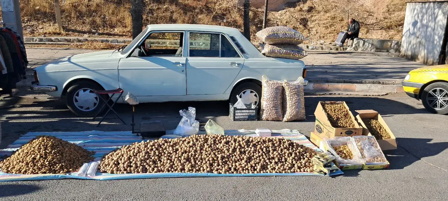 اجیل وخشکبار هورامان|حراج|بیجار, |دیوار