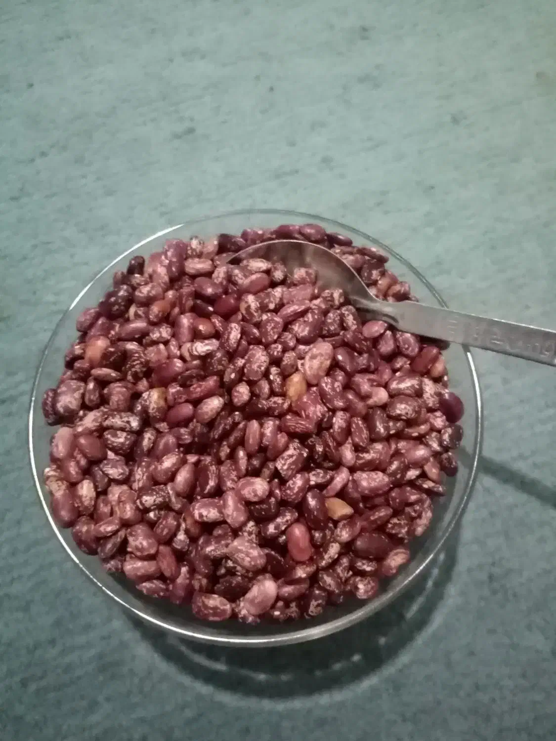 لوبیا چیتی قرمز خوش پخت|خوردنی و آشامیدنی|مشهد, مشکینی (شهرک غرب)|دیوار