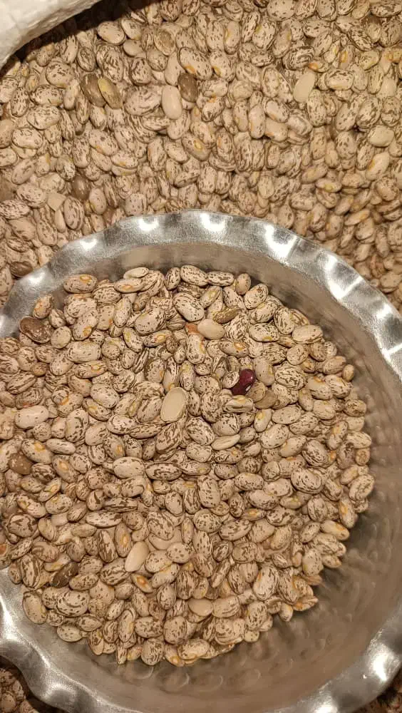 لوبیا چیتی|خوردنی و آشامیدنی|دهلران, |دیوار