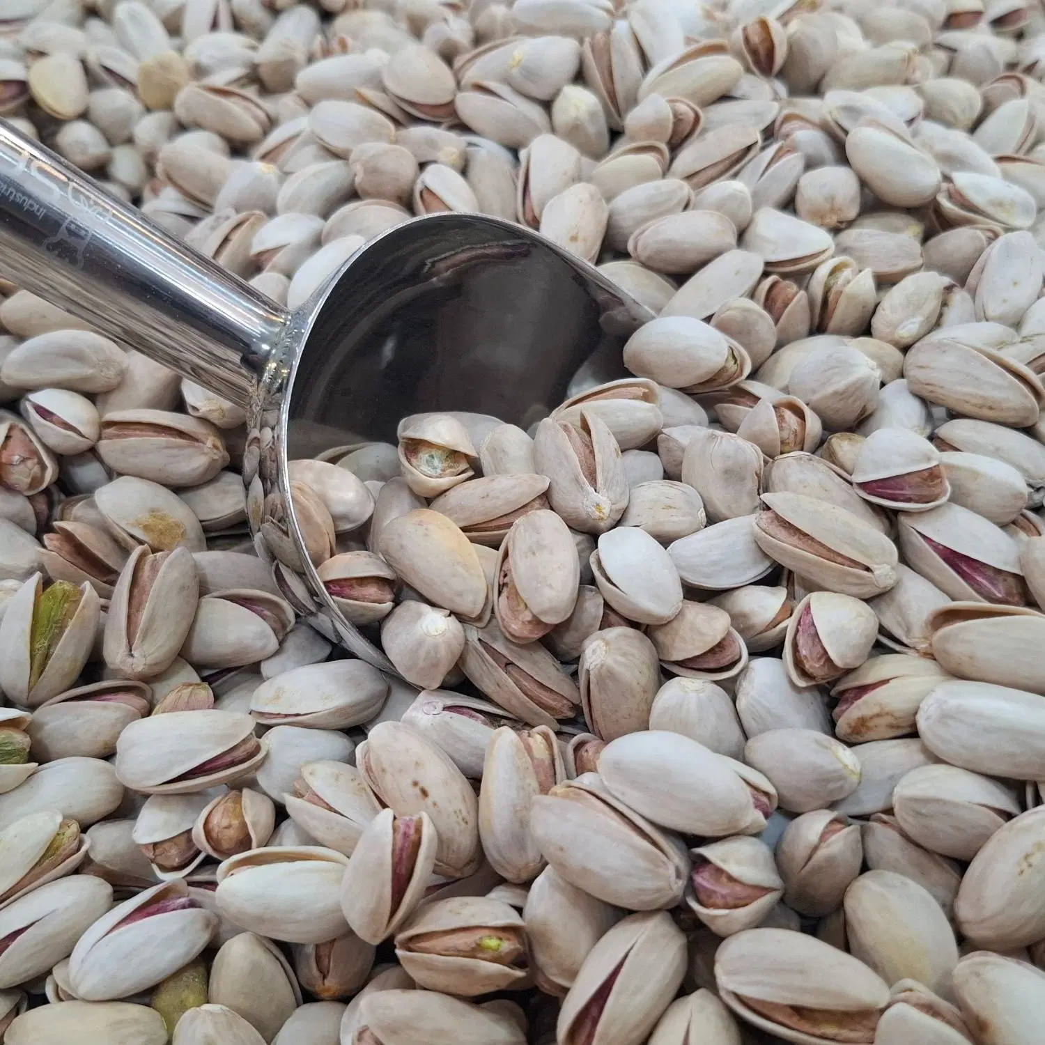پسته|خوردنی و آشامیدنی|یزد, |دیوار