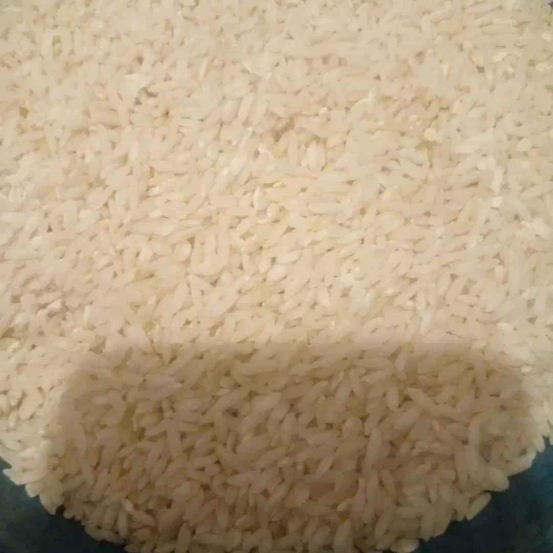 برنج محلی بیرانشهر|خوردنی و آشامیدنی|بیرانوند, |دیوار