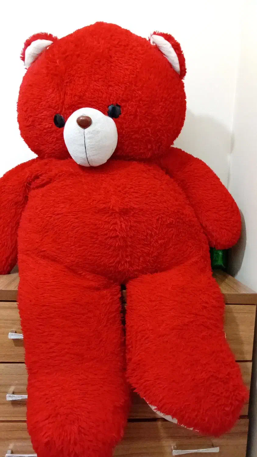 خرس|اسباببازی بچه|کرج, ساسانی (قلمستان)|دیوار