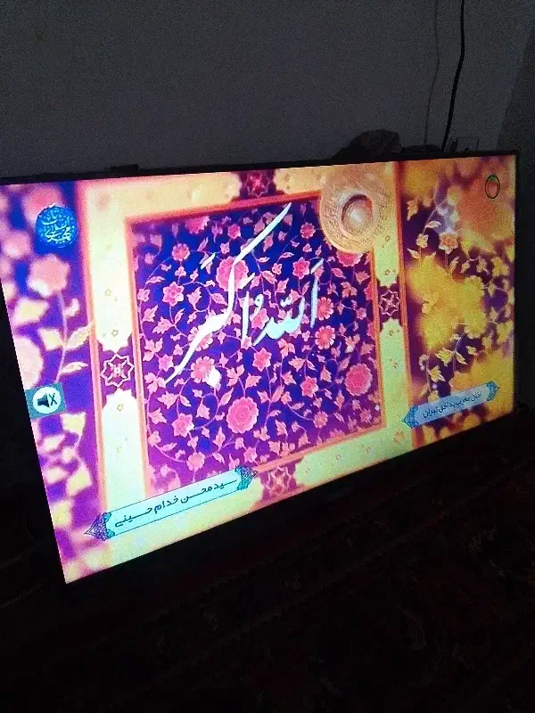 تلویزیون بست 43|تلویزیون و پروژکتور|ساری, |دیوار