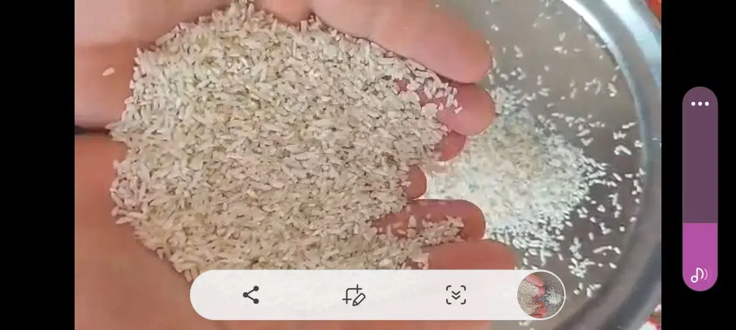 برنج طارم هاشمی|خوردنی و آشامیدنی|کردکوی, |دیوار