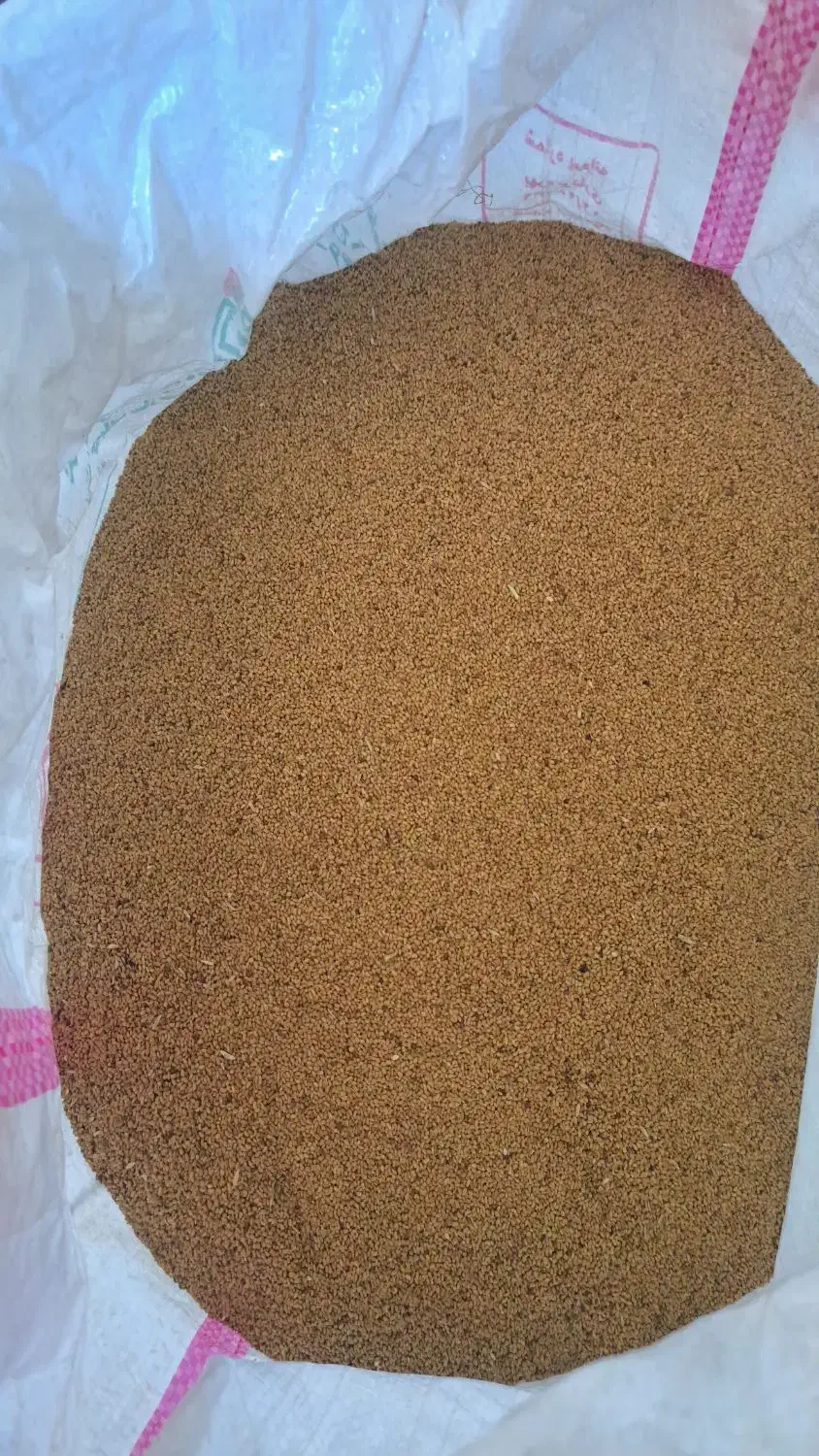 فروش بذر یونجه اصل همدان پا بلند|عمدهفروشی|بیله سوار, |دیوار