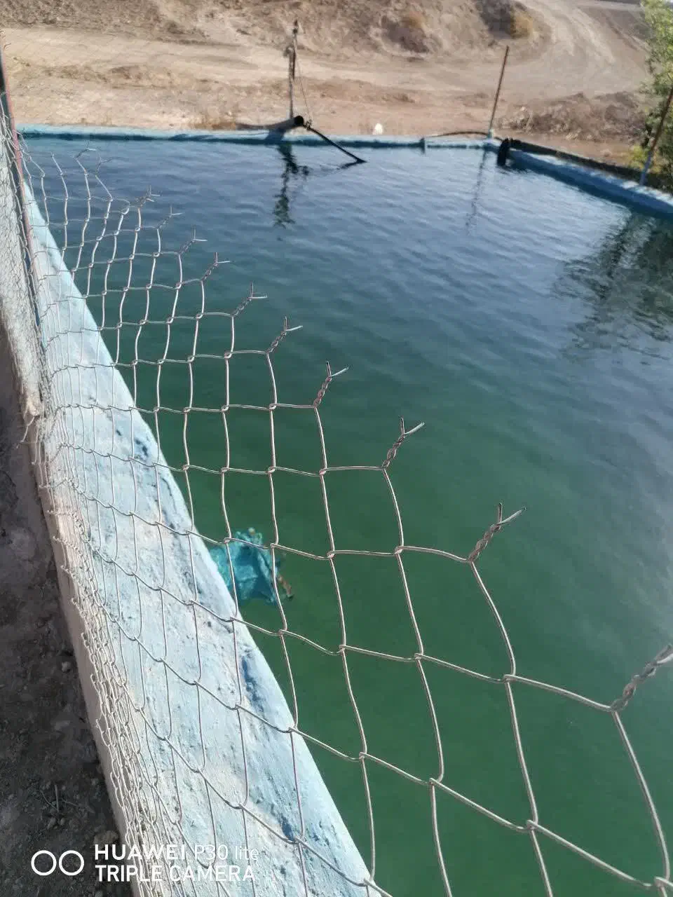 فروش باغ 180قصبه (3600 هزار مترباغ)|فروش خانه و ویلا|ابرکوه, |دیوار