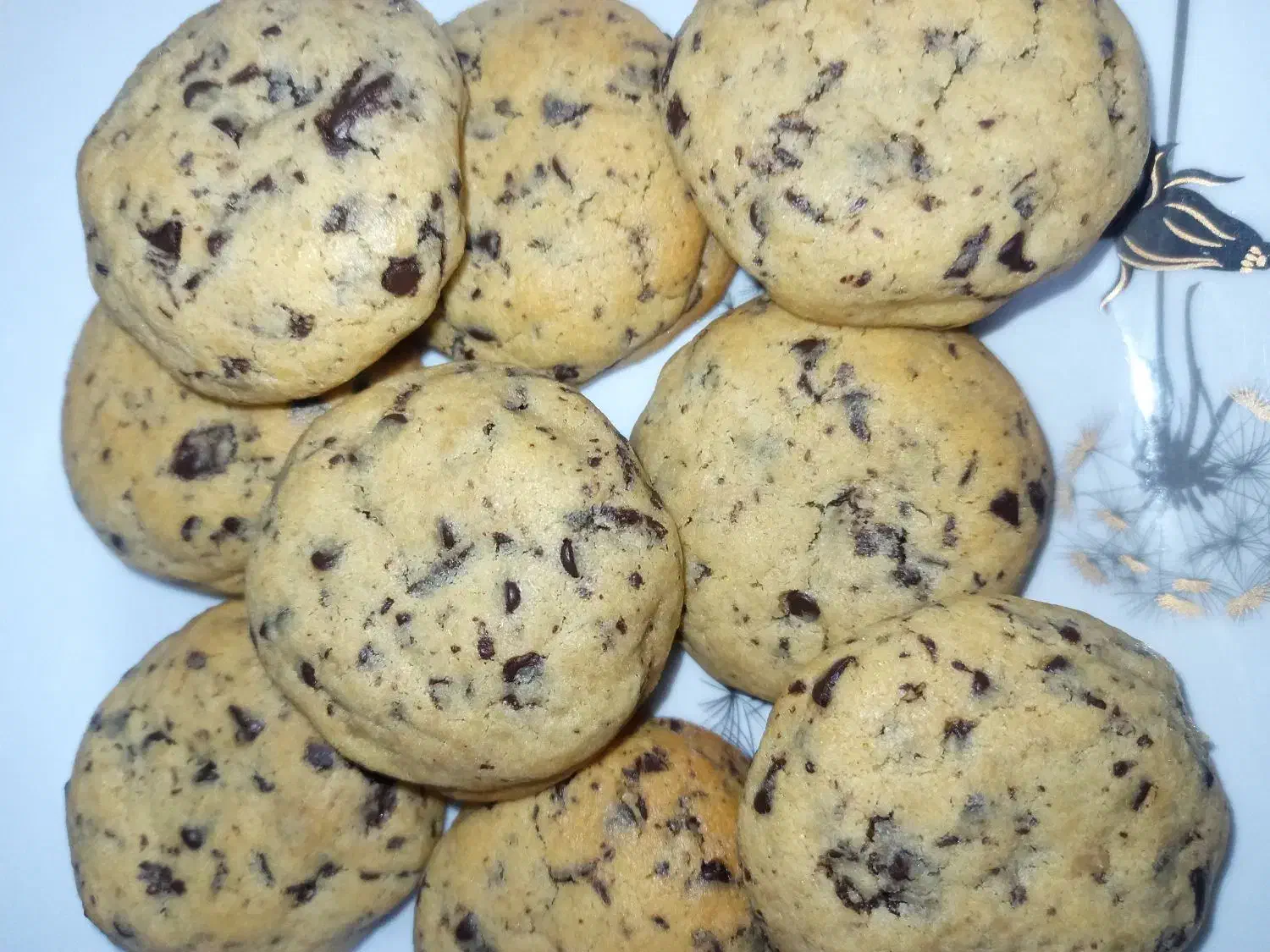 کوکی شکلاتی تازه|خوردنی و آشامیدنی|قم, باجک دو|دیوار