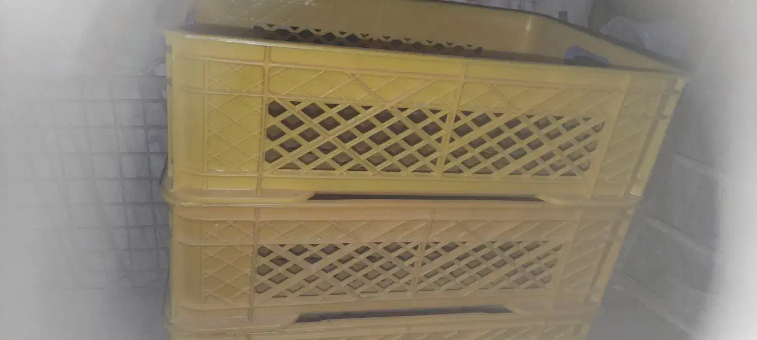 سبد|ظروف نگهدارنده، پلاستیکی، یک‌بارمصرف|بهارستان, |دیوار