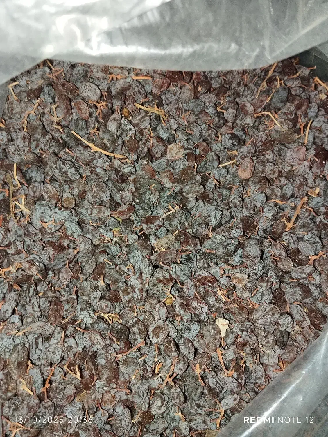 کشمش آفتابی ارگانیک|خوردنی و آشامیدنی|صائین قلعه, |دیوار