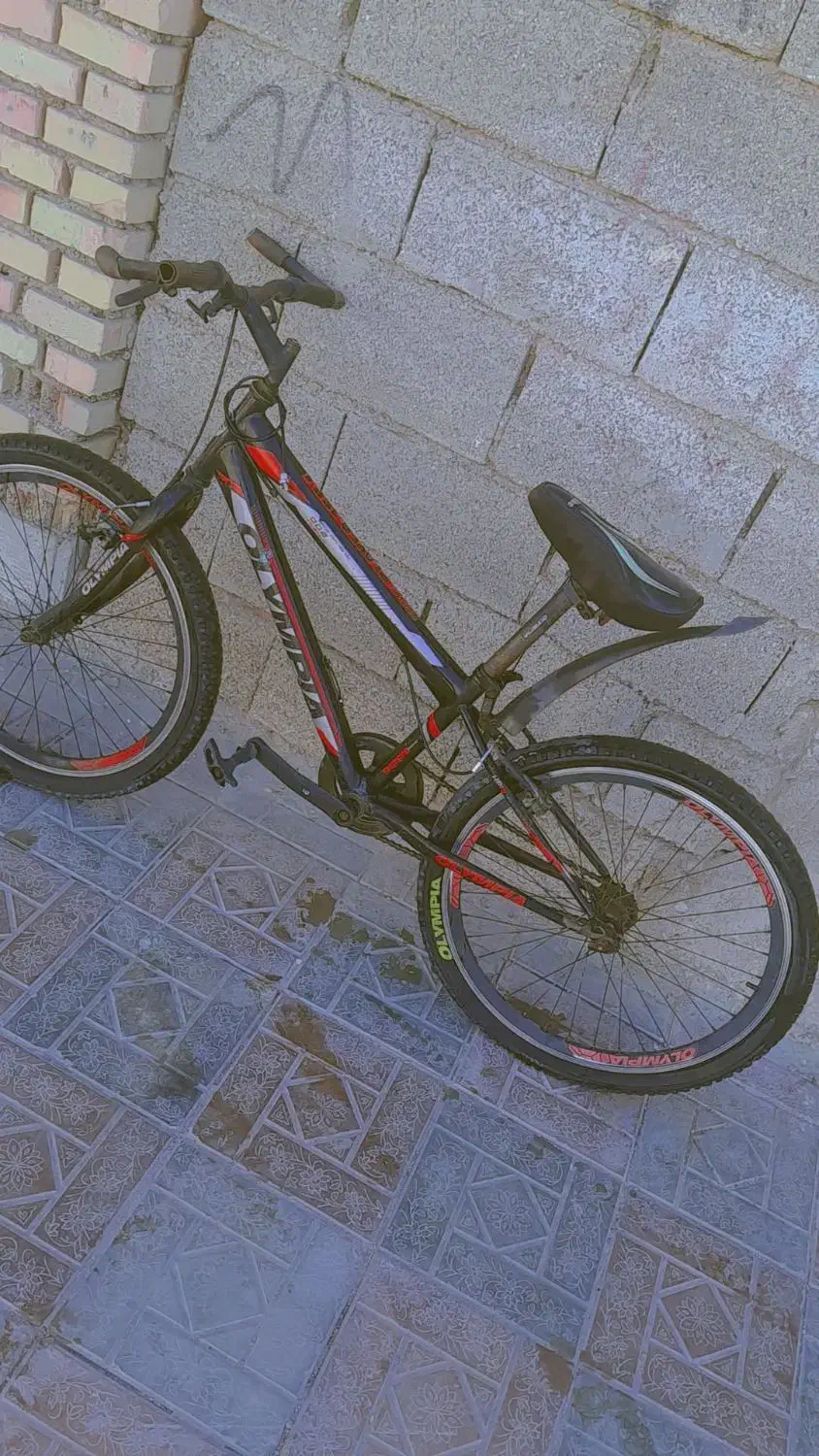 دوچرخه 24|دوچرخه، اسکیت، اسکوتر|چمران, |دیوار