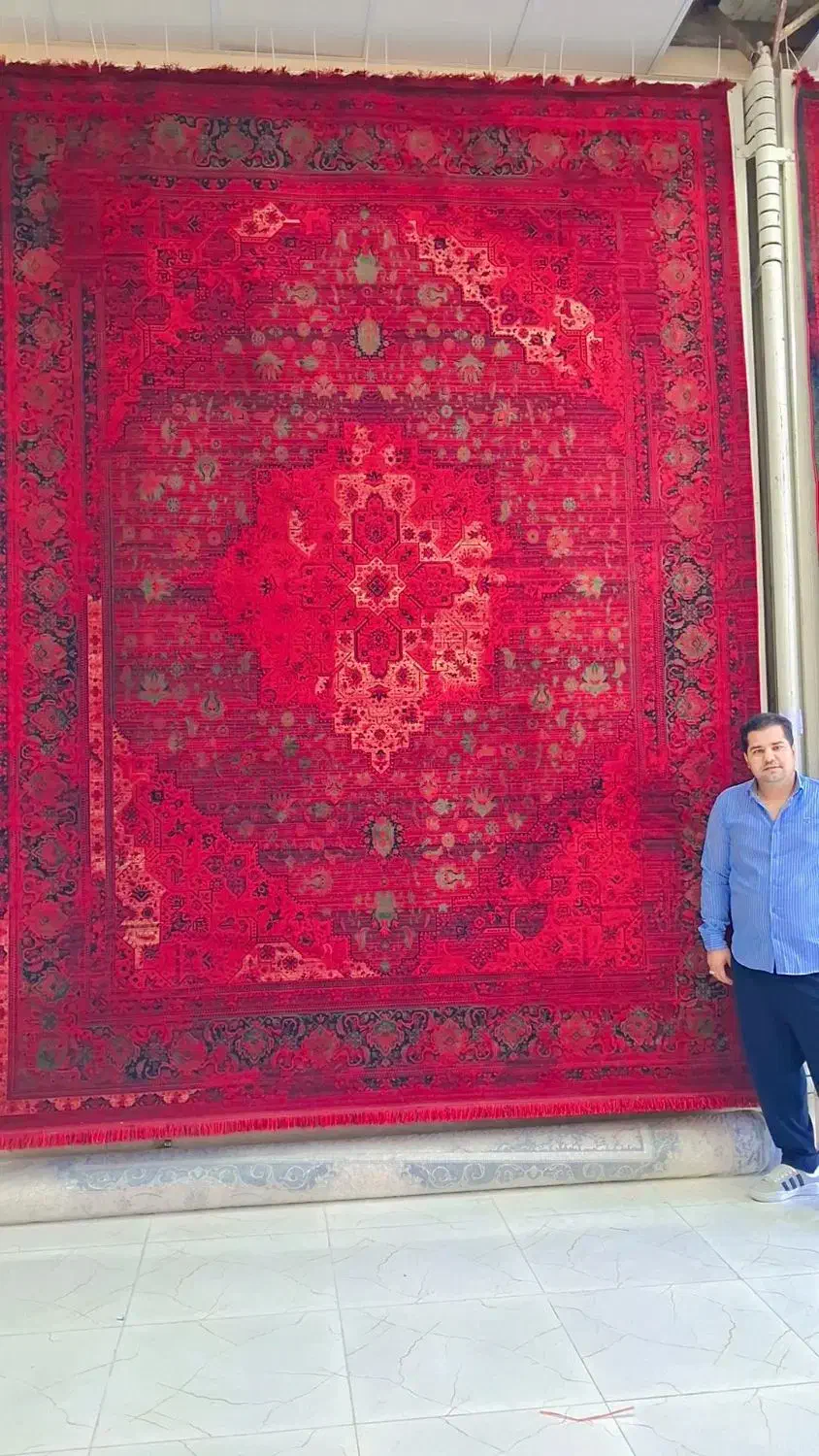 مجموعه کامل از فرش ونقش درنمایشگاه|فرش|بوشهر, |دیوار