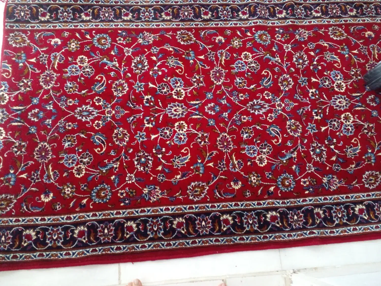 کناره تمیز شسته شده وسالم سالم|گلیم، جاجیم، گبه|یزد, |دیوار