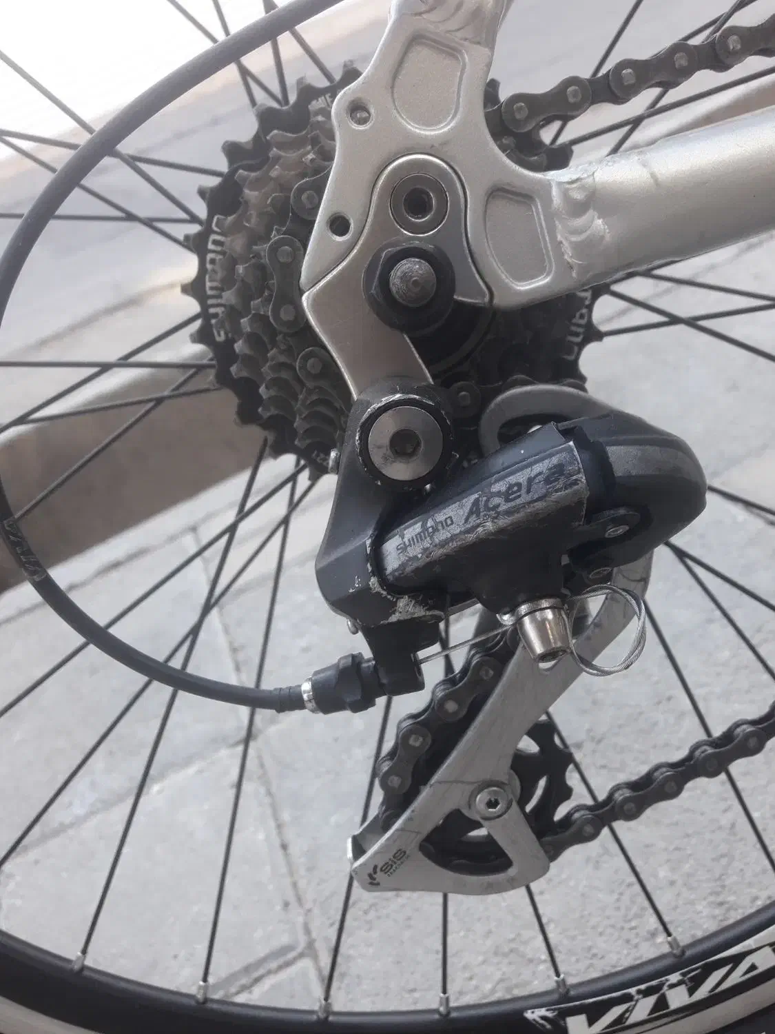 دوچرخه ۲۶|دوچرخه، اسکیت، اسکوتر|اسفراین, |دیوار