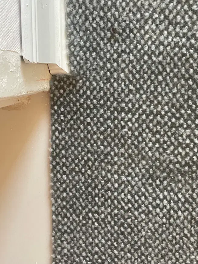 موکت ظریف مصور سه روزه خریدم|موکت|کرج, کوی مهر|دیوار