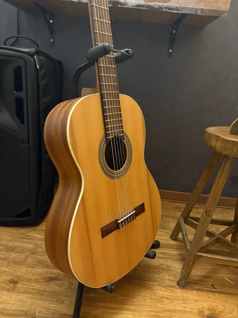 گیتار الحمبرا،الحمرا alhambra|گیتار، بیس، امپلیفایر|ماهدشت, |دیوار