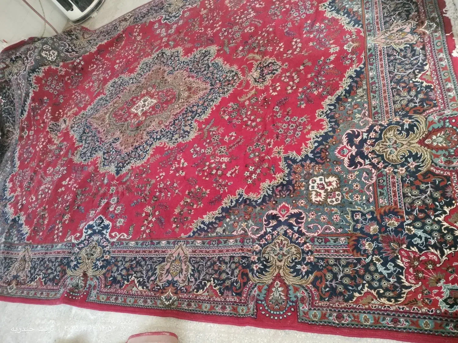 فرش 12 متری|فرش|تربت‌حیدریه, کاشانی|دیوار