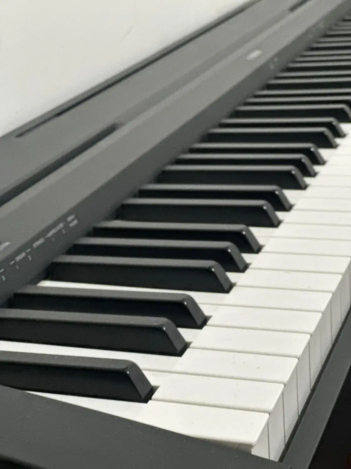 Piano P-45|پیانو، کیبورد، آکاردئون|گرگان, |دیوار