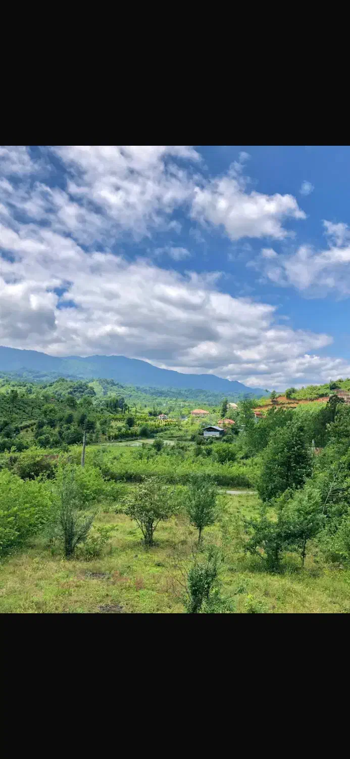 فروش زمین ۴۵۰ متری در روستای زیبای درجیر|فروش زمین و ملک کلنگی|لاهیجان, آهندان|دیوار