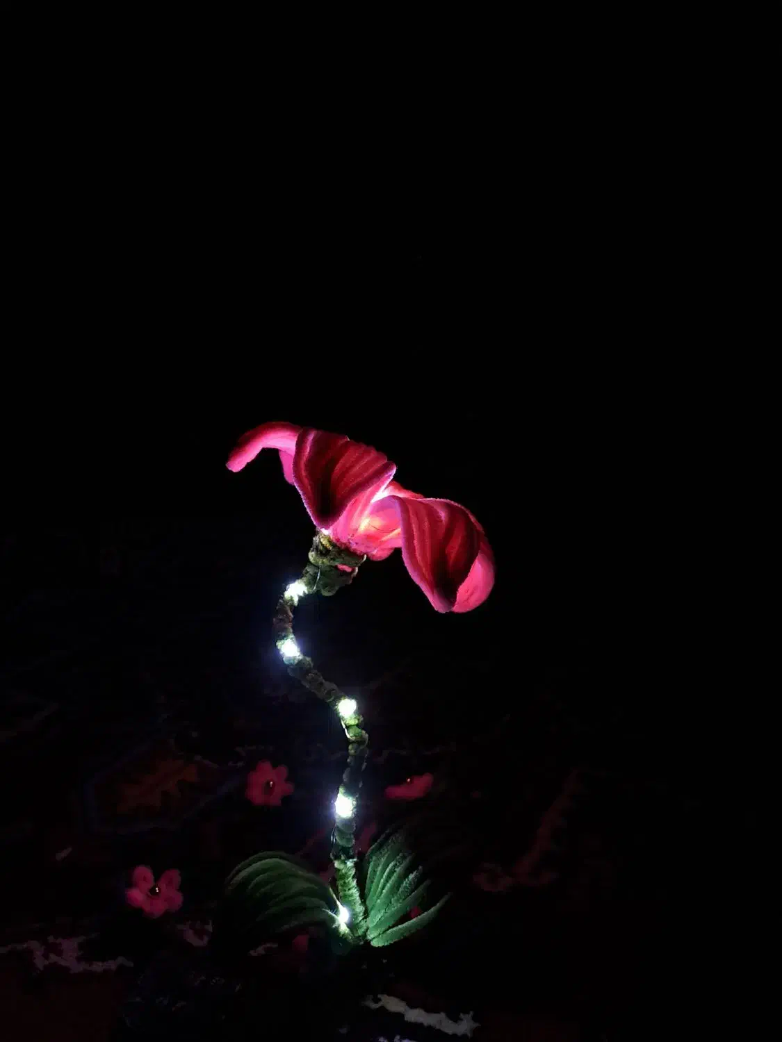 چراغ مطلعه (چراغ درخشان)|چراغ خواب و آباژور|تبریز, |دیوار