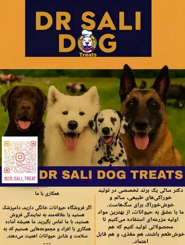تشویقی های  دکتر سالی مخصوص پت های دلبند شما|لوازم جانبی حیوانات|رشت, گلسار|دیوار