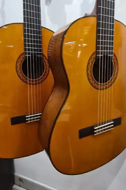 گیتار همه مدله|گیتار، بیس، امپلیفایر|ورامین, ورامین|دیوار