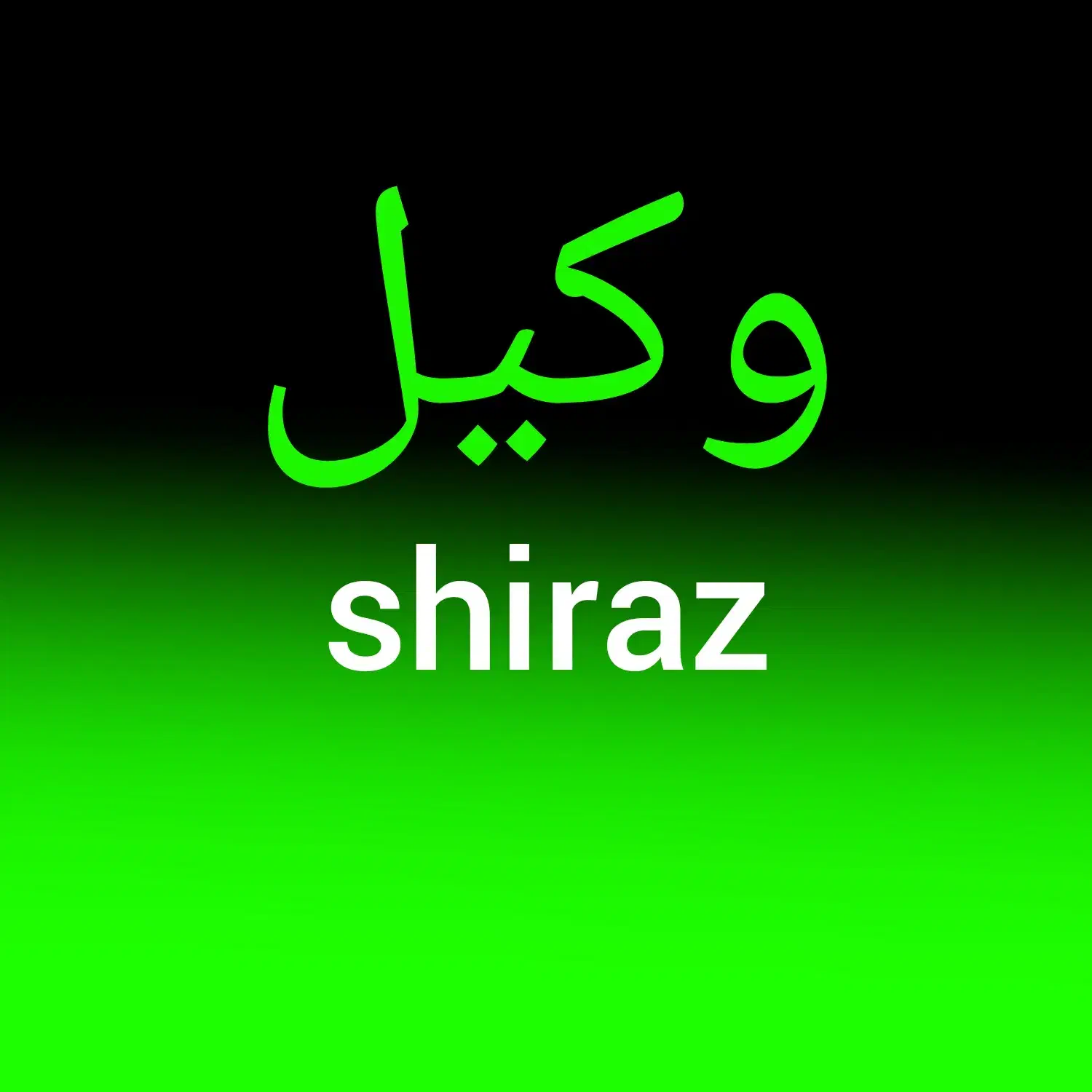 وکیل پایه یک دادگستری / کیفری / حقوقی|خدمات مالی، حسابداری، بیمه|شیراز, قدوسی غربی|دیوار