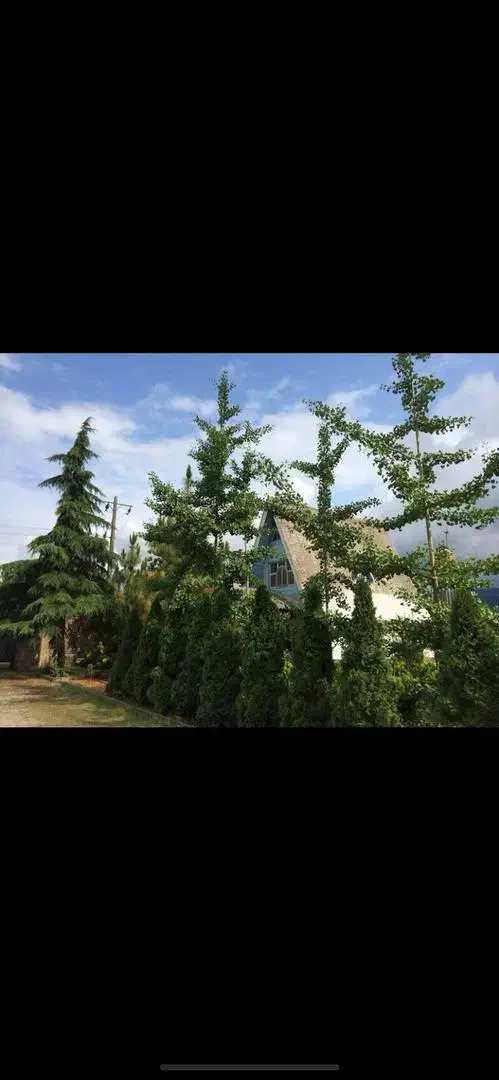 ویلایی گلنگی 175 متری سند دار در سلیمانداراب رشت|فروش خانه و ویلا|رشت, سلیمانداراب|دیوار