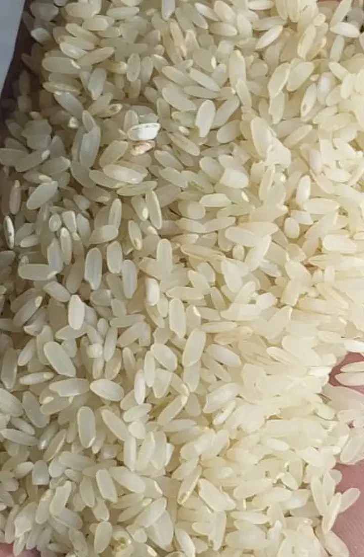 برنج نو درجه یک عالی و علا|خوردنی و آشامیدنی|شیراز, شهرک گلستان|دیوار