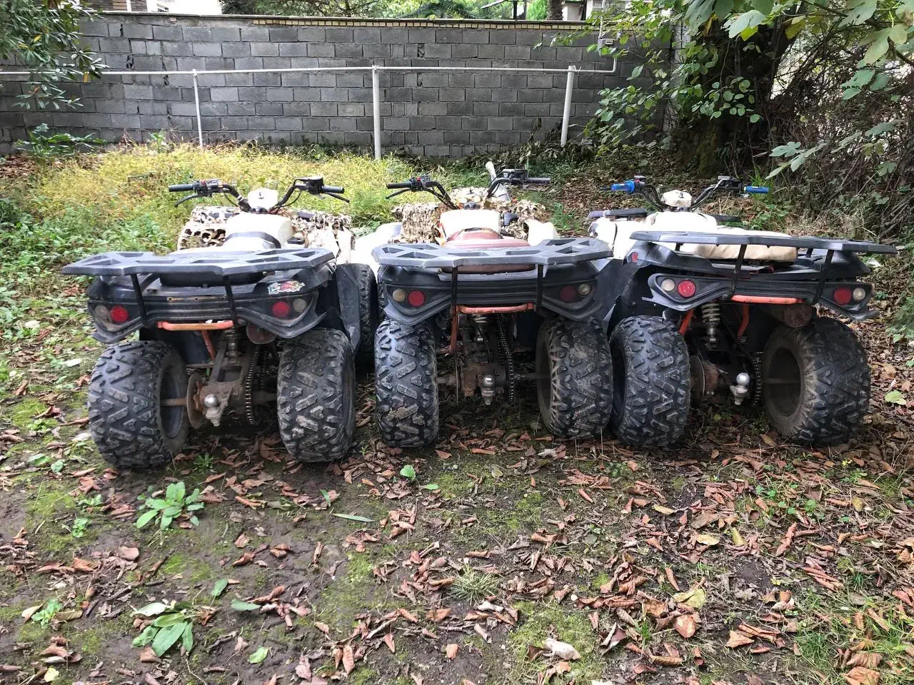 چهارچرخ کایو ۱۸۰ سی سی|موتورسیکلت|سلمان‌شهر, |دیوار