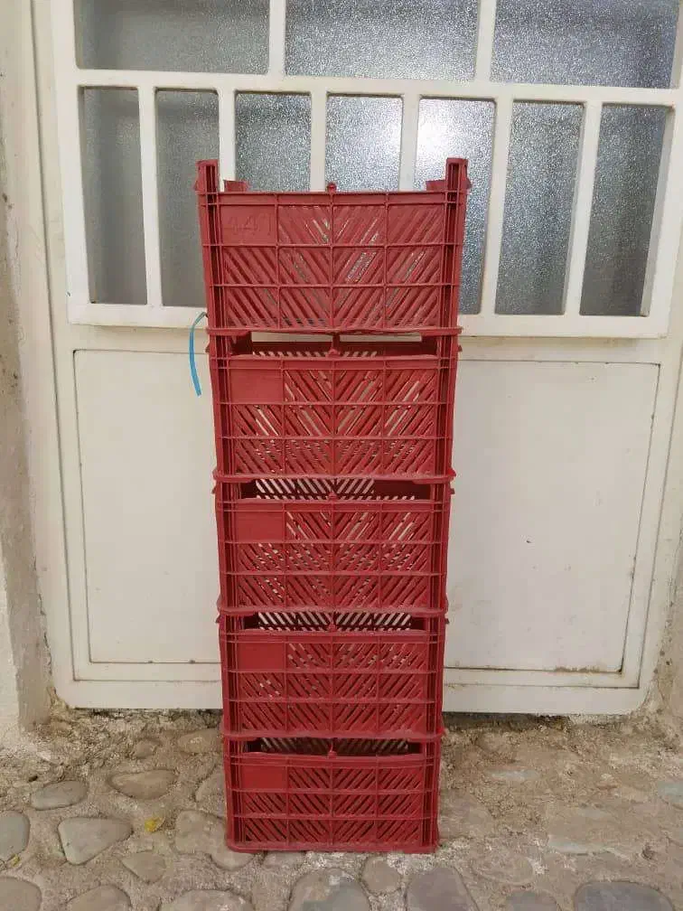 جعبه میوه (نو)|ظروف نگهدارنده، پلاستیکی، یکبارمصرف|گرمدره, |دیوار