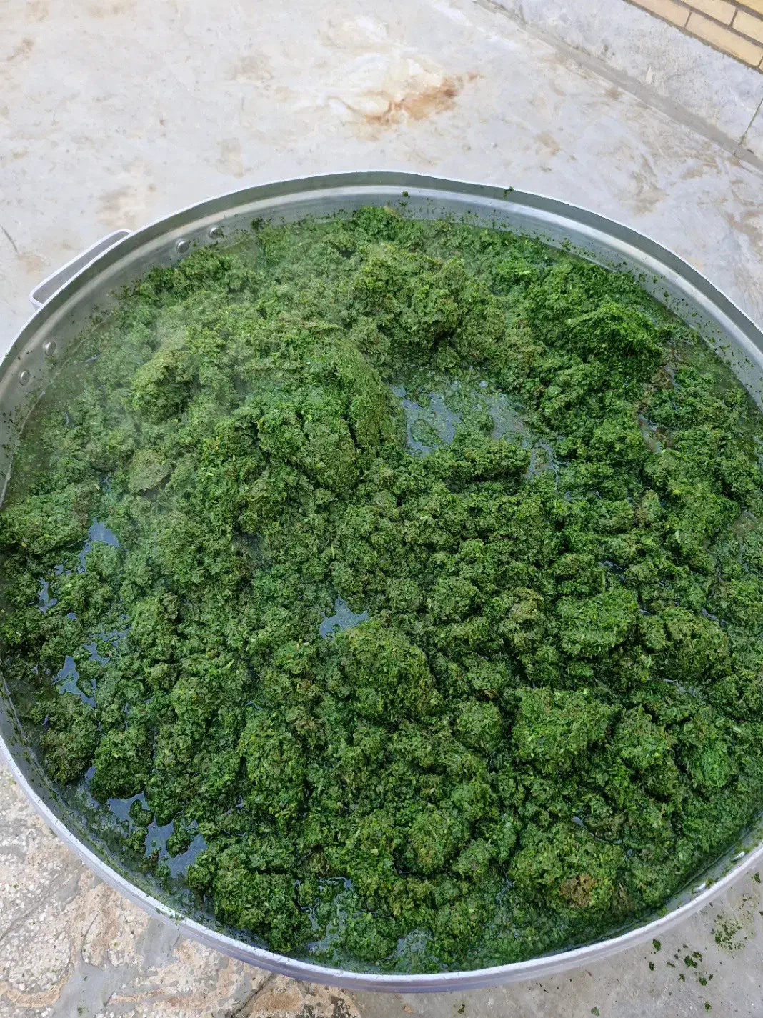 سبزی خورشتی|خوردنی و آشامیدنی|تهران, نیروی دریایی|دیوار