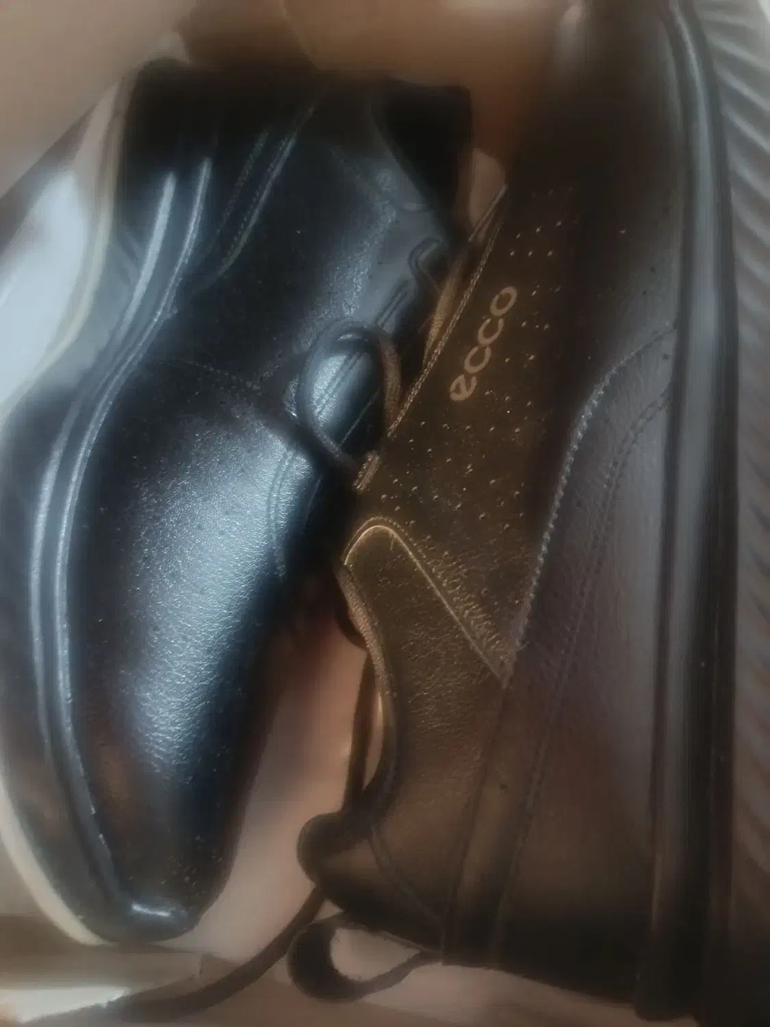 نیم بوت|کیف، کفش، کمربند|گلپایگان, |دیوار