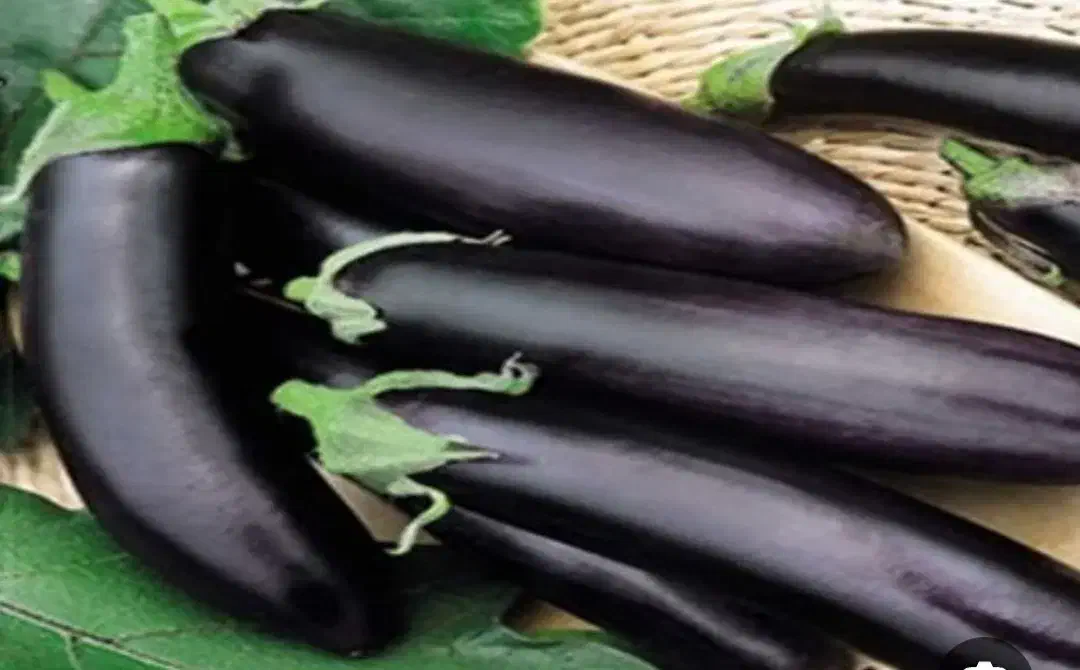 بادمجان|خوردنی و آشامیدنی|مشهد, موعود|دیوار