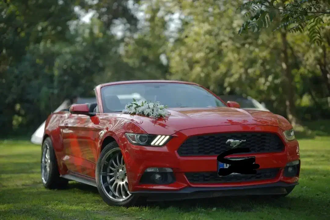 تشریفات مجالس|خدمات پذیرایی، مراسم|رشت, استادسرا|دیوار