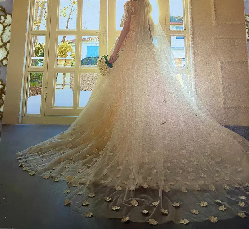 لباس عقد|لباس|رشت, یخسازی|دیوار