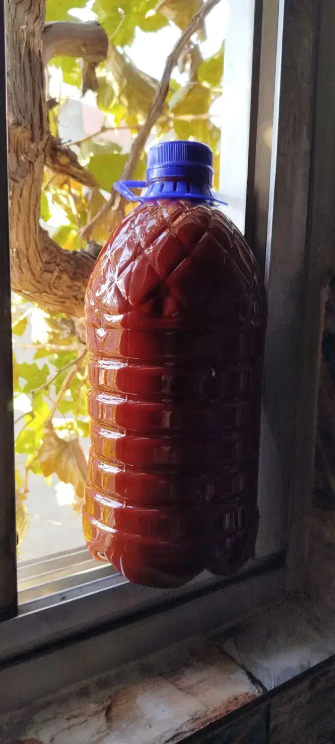 رب خانگی کاملا بهداشتی|خوردنی و آشامیدنی|چهارباغ, |دیوار