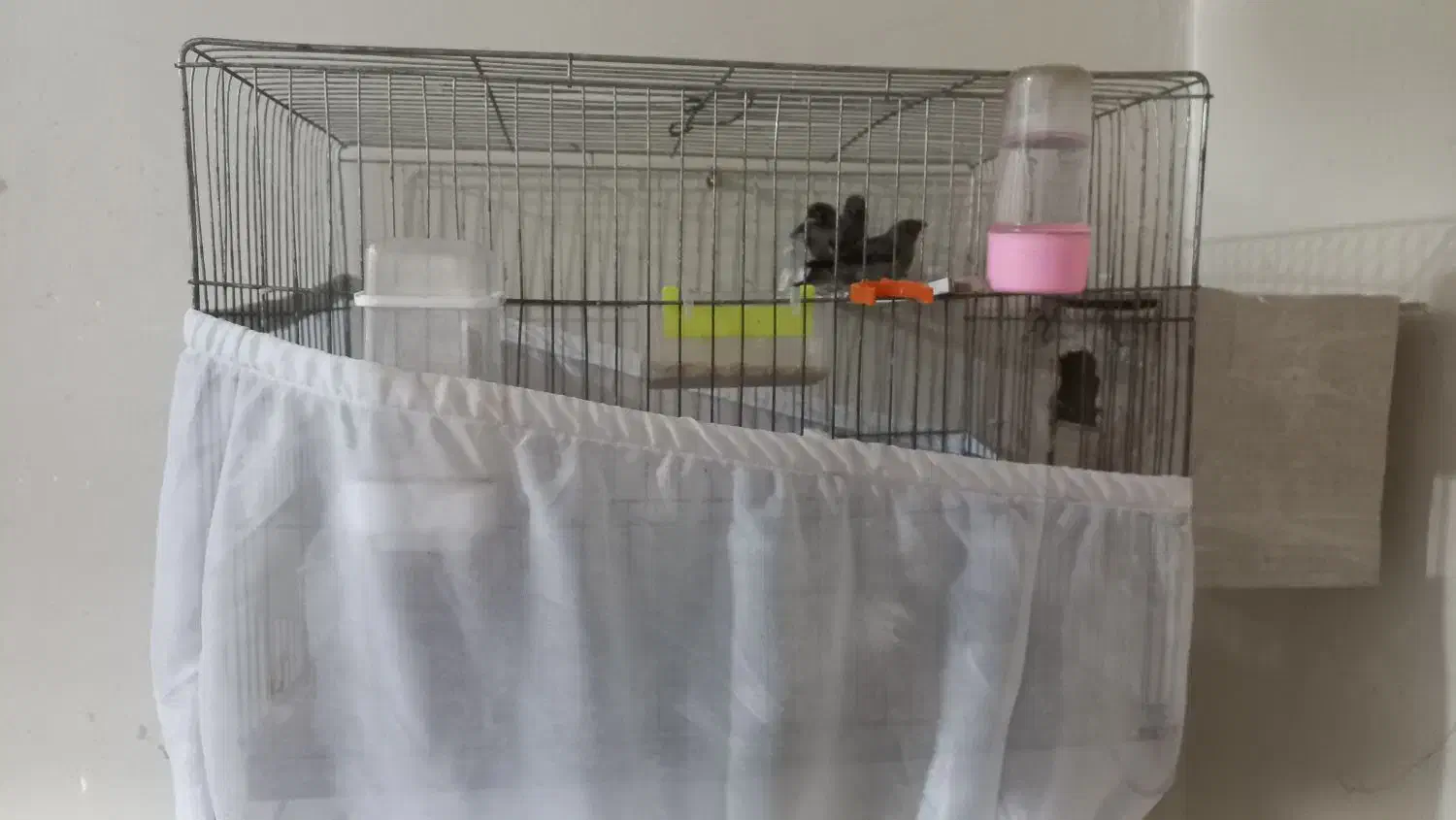 انواع قفس با سایز مختلف و وسایل  رایگان|لوازم جانبی حیوانات|شوشتر, |دیوار