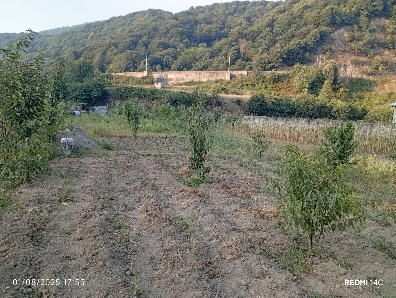 زمین باغی مازندران سوادکوه|فروش زمین و ملک کلنگی|زیرآب, |دیوار